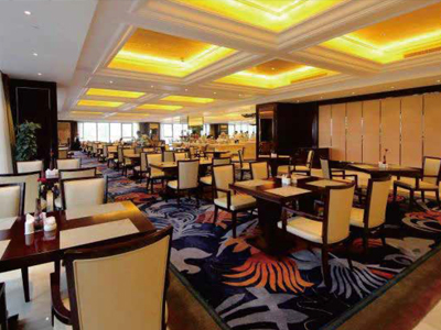 合肥丰大国际大酒店